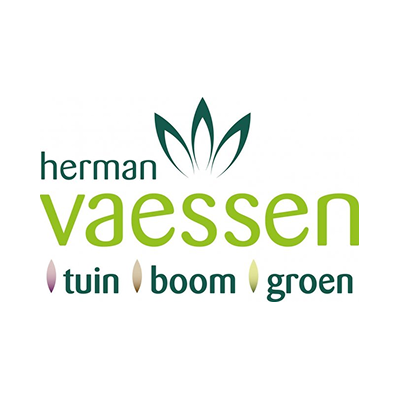 c_image_alt not found!