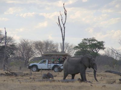 Rondreis Namibië Botswana Zimbabwe