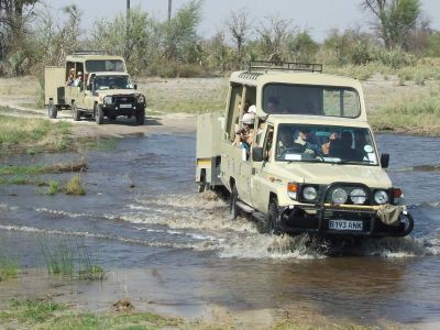 Botswana Safari