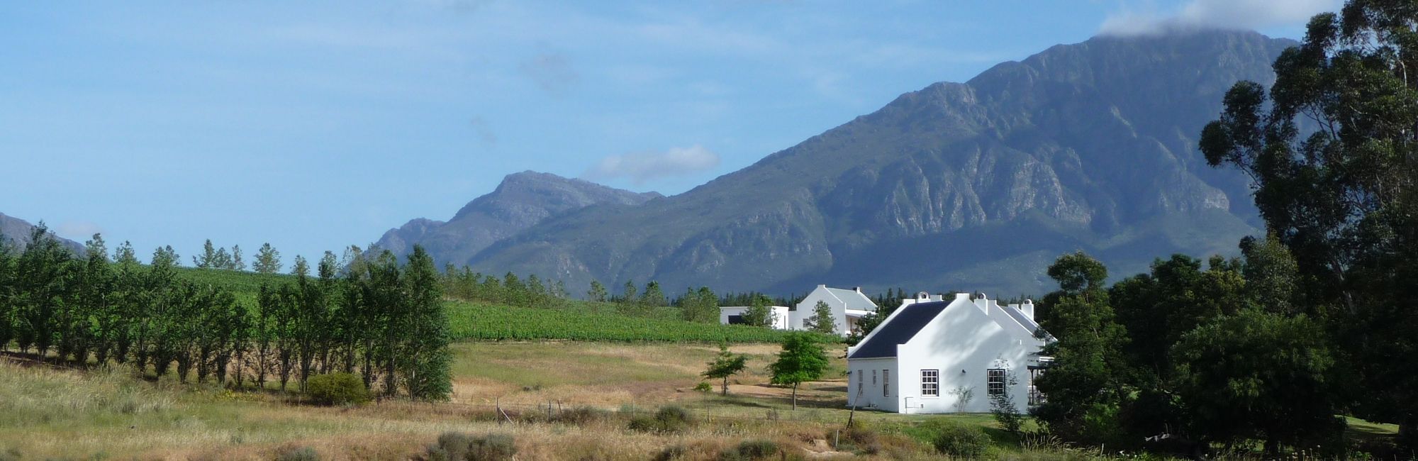 Robertson Wine Valley aan Route 62