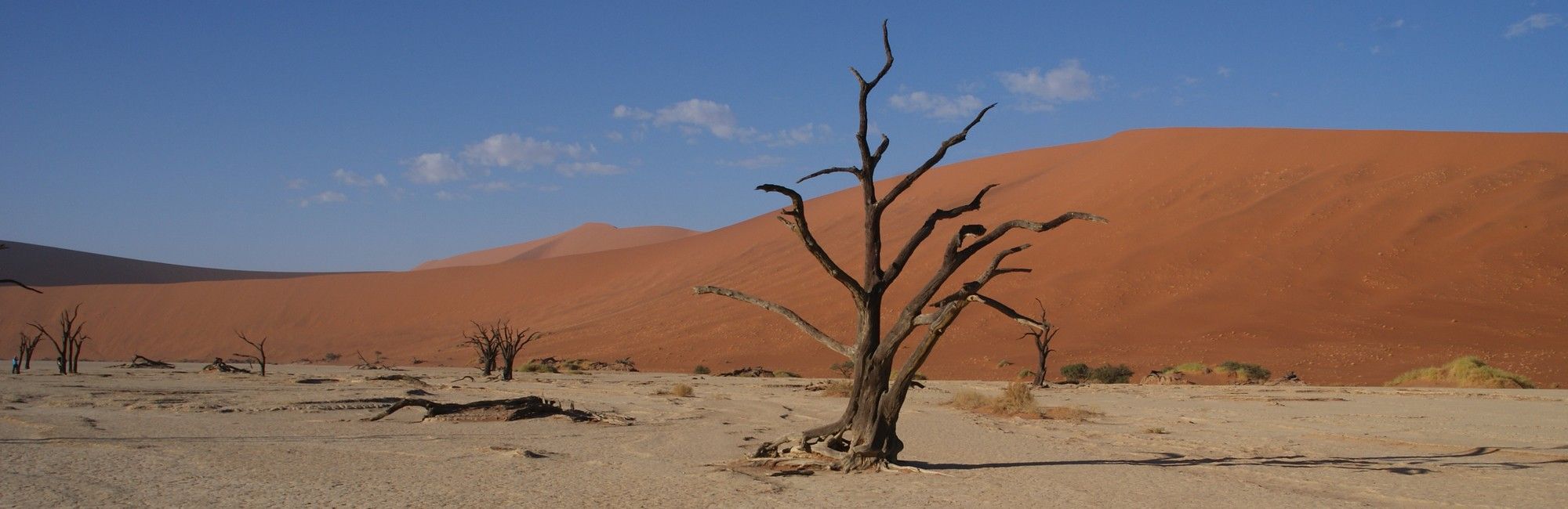 Namibie rode duinen