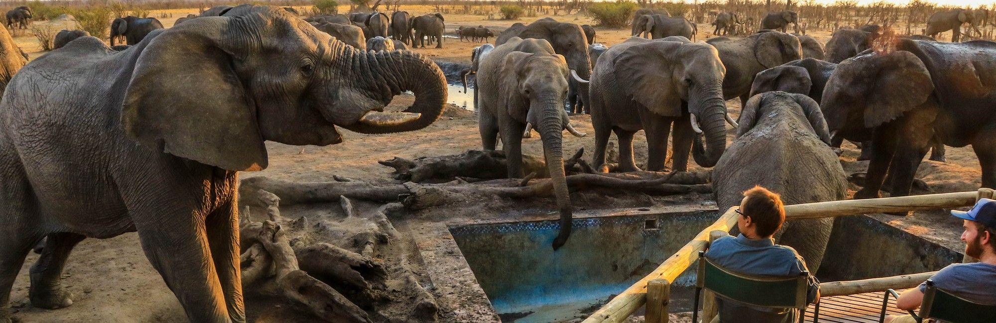 Zimbabwe Olifanten lodge
