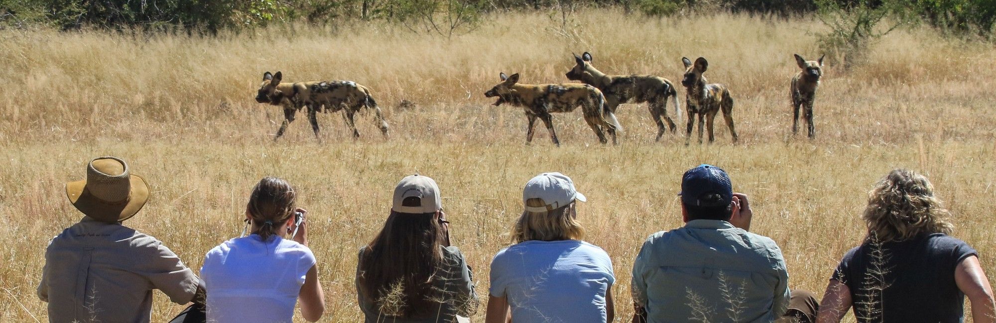 Zimbabwe walking safari
