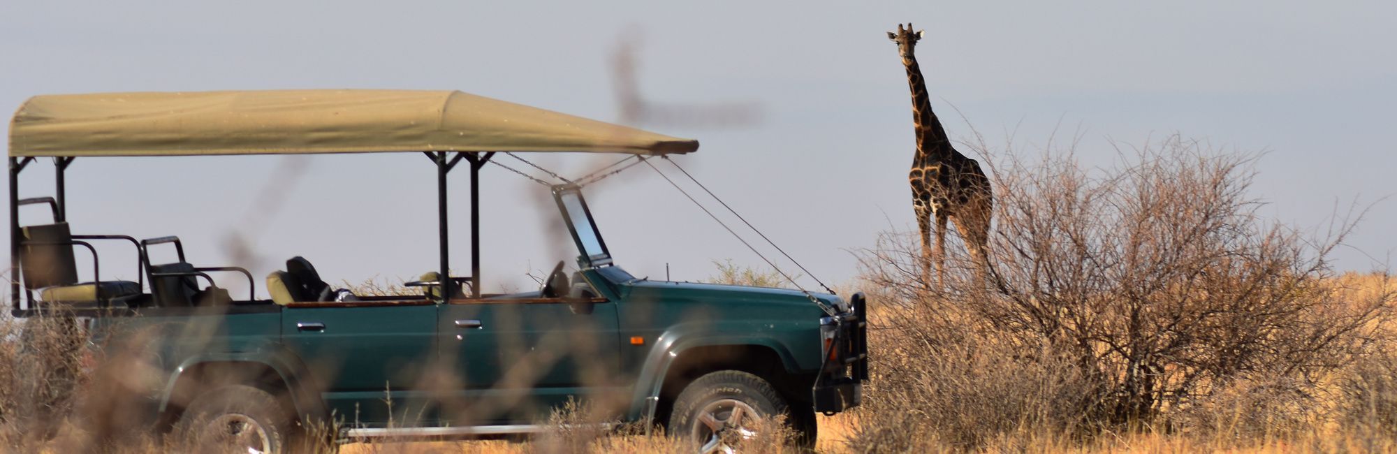 Luxe rondreis Botswana met privé gids