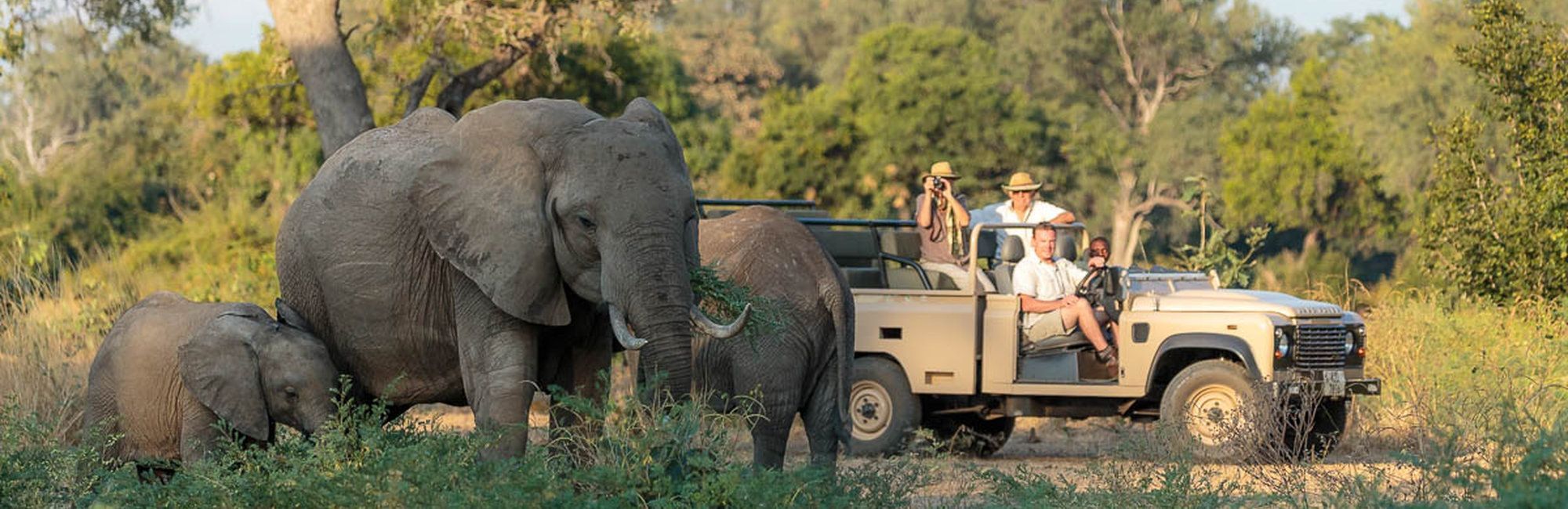 Safari Zambia