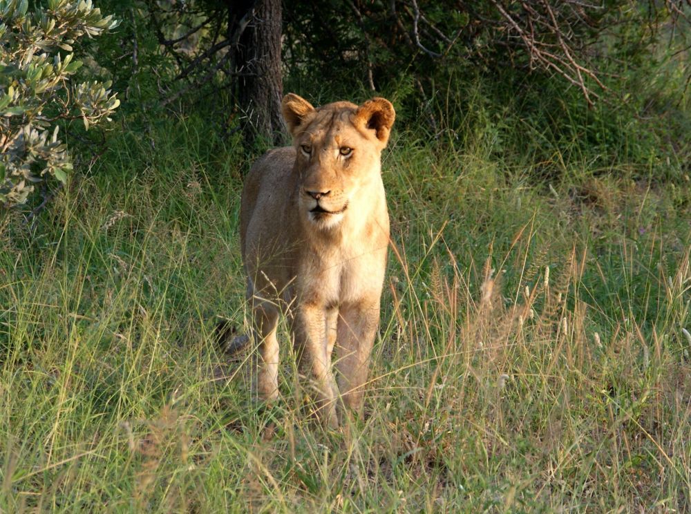 ZuidAfrika wat te zien en wat