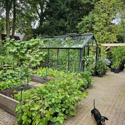 Update Engelse tuin in Bilthoven