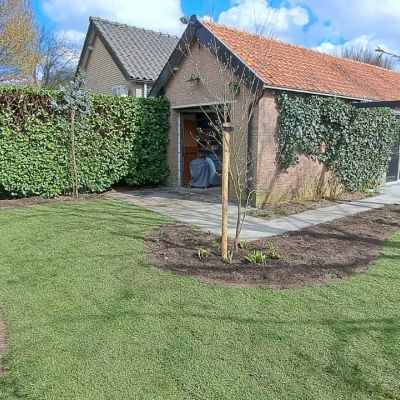 Renovatie achtertuin in Soest