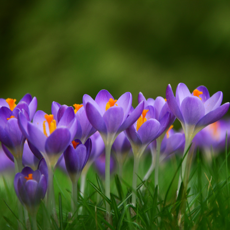 Nieuwsbrief 19 | maart 2025