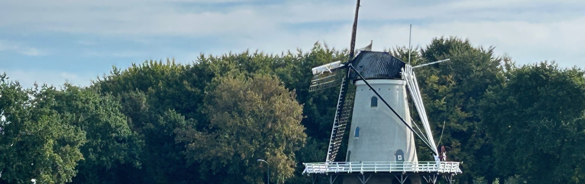 Belangen Soest
