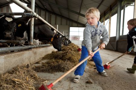 Kinderdagverblijf