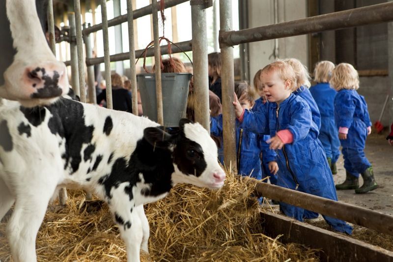 Visie - Kinderdagverblijf De Boerderij