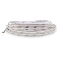 COB ledstrip Tunable White IP20, 24V, 580lm/m, 5 meter