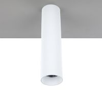 Cilindervormig plafond opbouw armatuur, voor Lumiko LED modules, wit