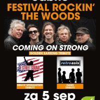 programma-2026/cabrio_driehoek_rockinthewoods.jpg