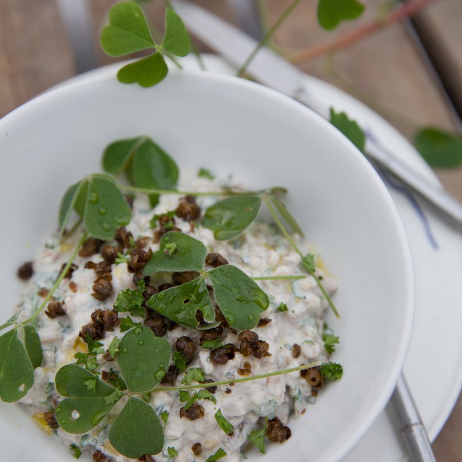 Parelgort risotto met aubergine