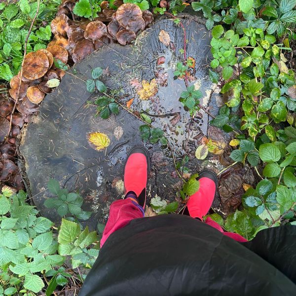 De start van het proces: Suat Ögüt