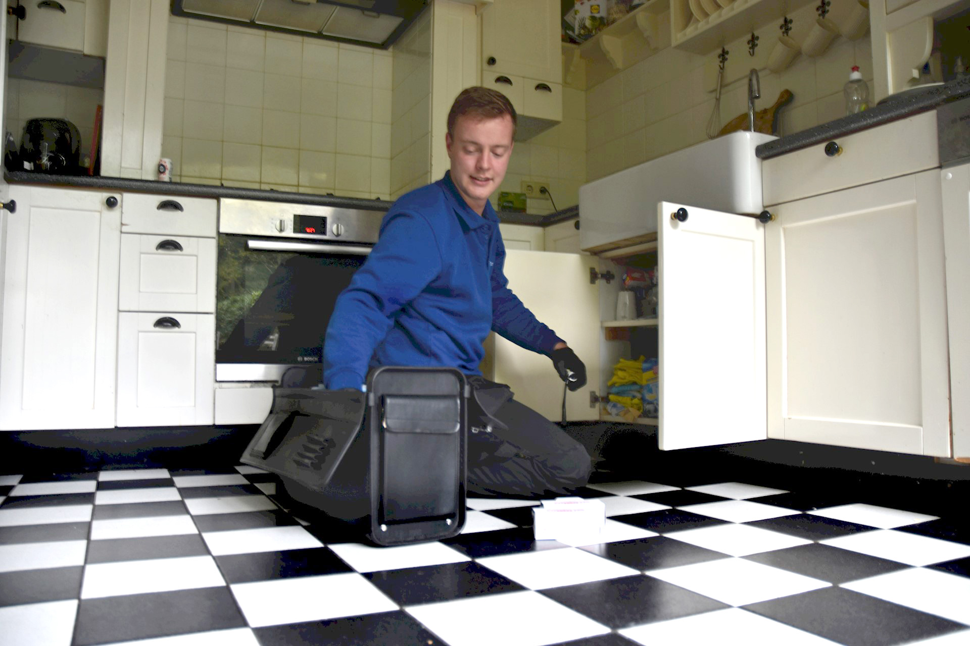 Point Pest Control bestrijdt een wespennest