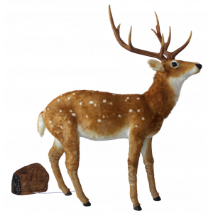 Hert bruin (h)171x(l)138 cm.