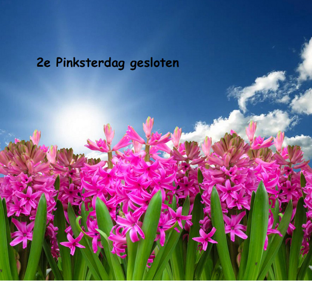 Schoot Verhuur & Events B.V. 2e Pinksterdag gesloten Schoot Verhuur & Events B.V. 2e Pinksterdag gesloten