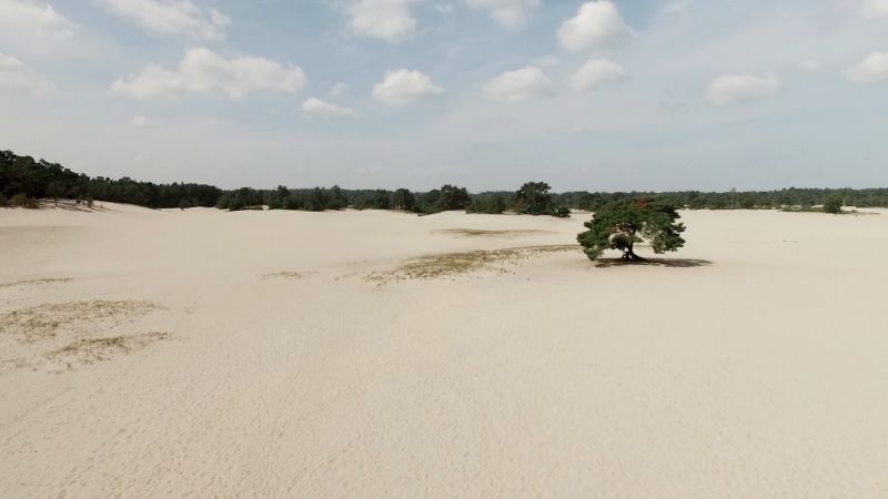 Nieuwsbrief JULI 2021 - Fractie Soest2002