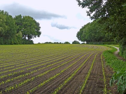 Jaarverslag 2018