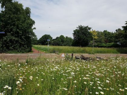 Burgerinitiatief: Bloemen op noordelijke Eng
