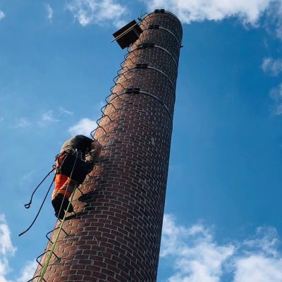 Nu op de Eng: Torenvalkjes geringd
