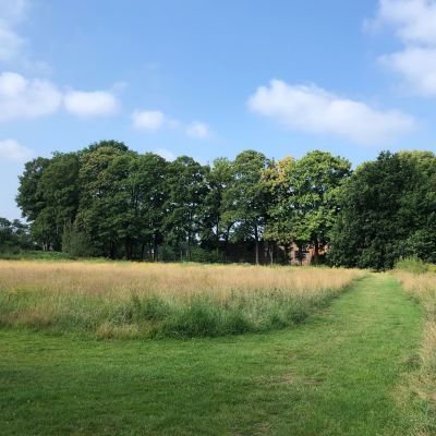 Leerlingen planten walnoten op Noorder Eng