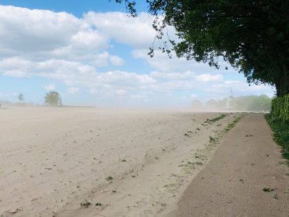 Nu op de Eng: Zandstormen