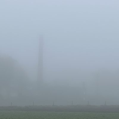 Verstilde Soester Eng door dichte mist