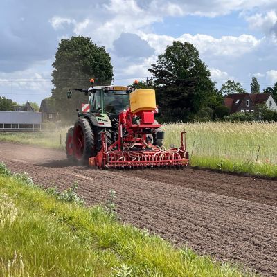 De bloemenranden zijn ingezaaid