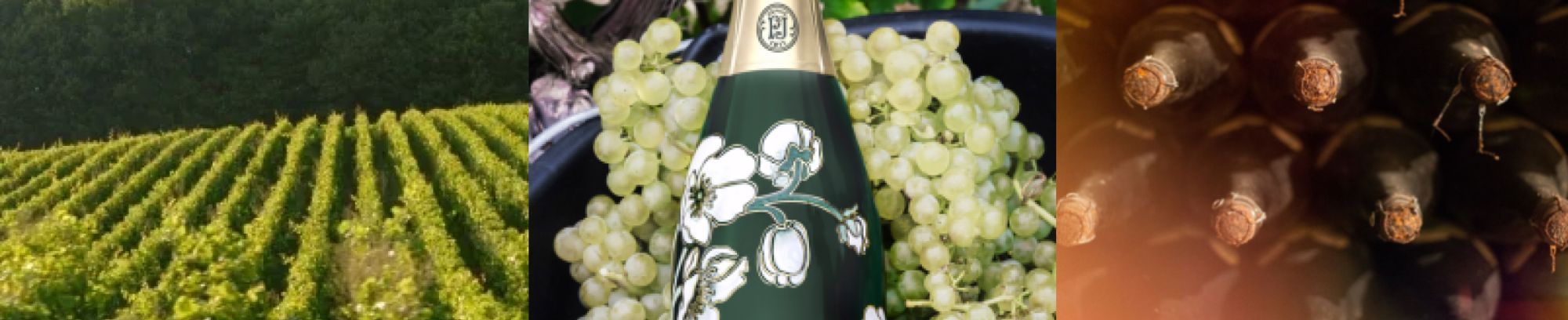 Perrier Jouet