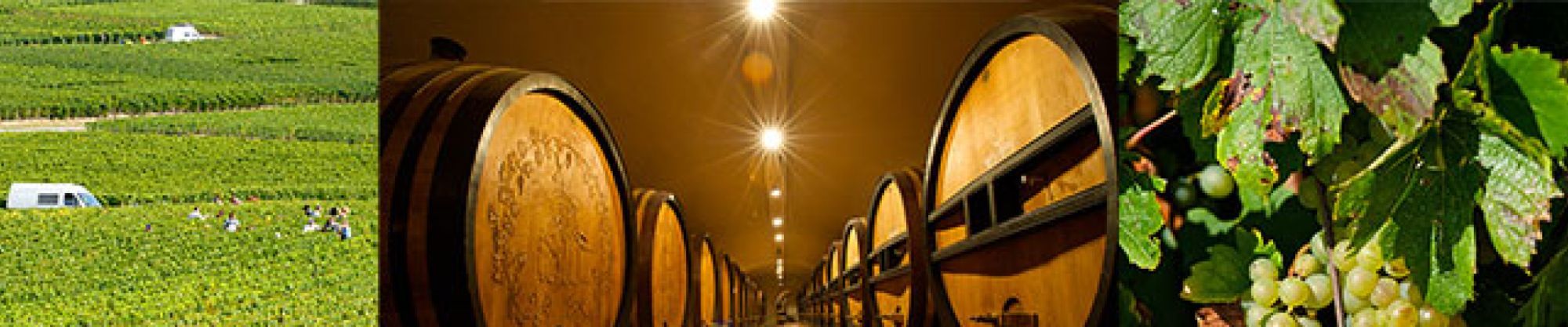 Roederer