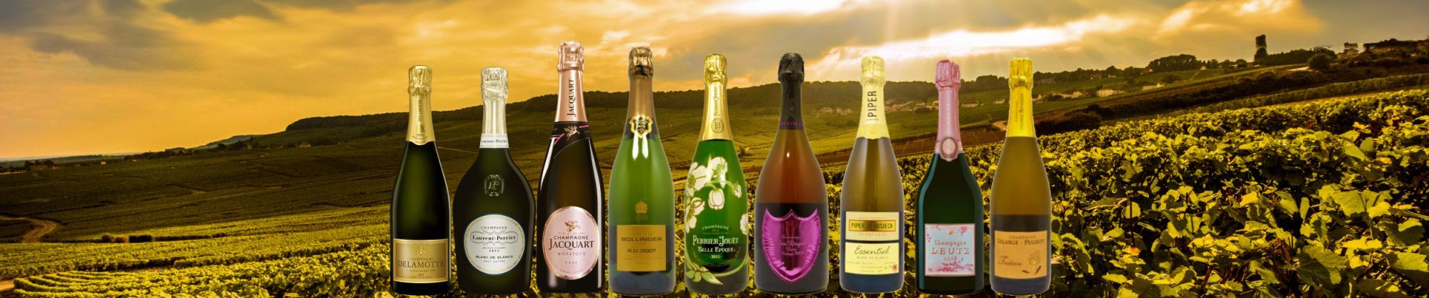 Soorten champagnes