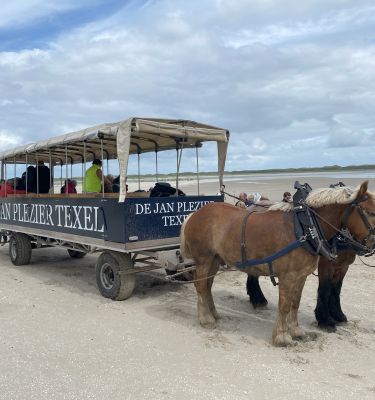 Zevendaagse vakantie Texel