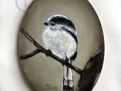 vogeltjes