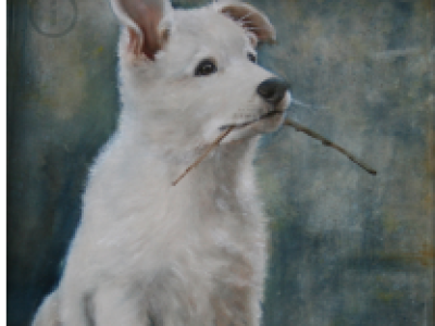 dieren
