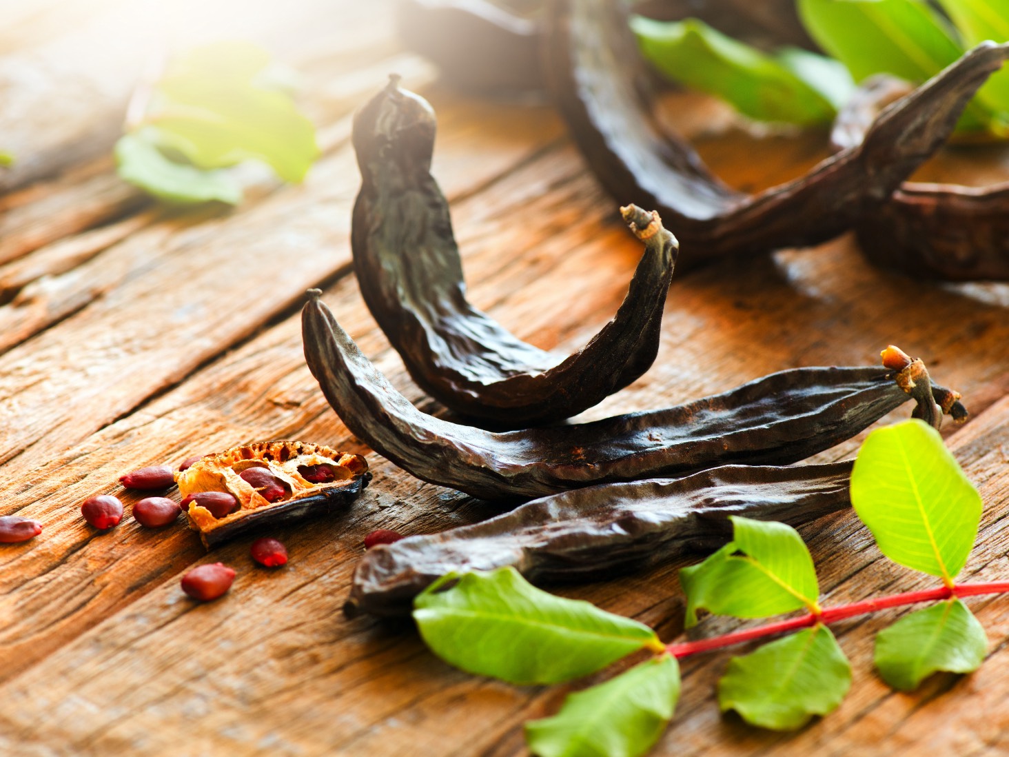 St. John's bread fruit pods carob