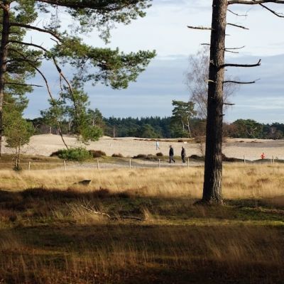 2013: Masters - MA - Korte Cross