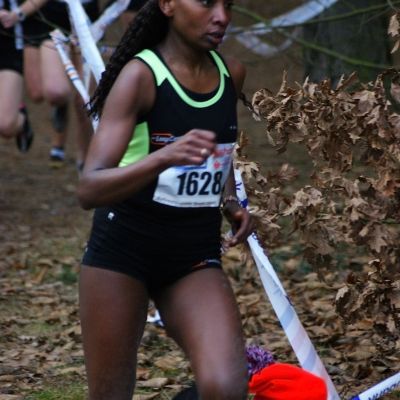 2013: Masters - MA - Korte Cross