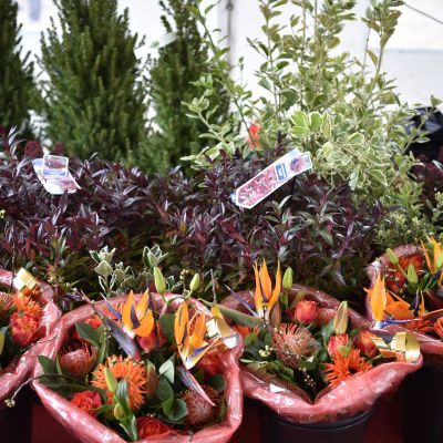 2017 Sylvestercross - Jaap van den Broek