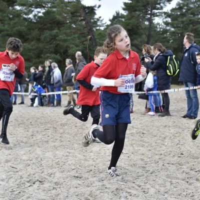 2017 Sylvestercross - Jaap van den Broek