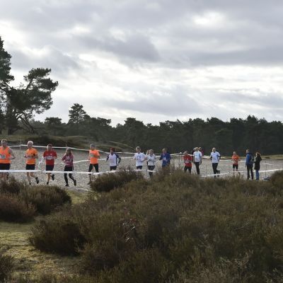 2017 Sylvestercross - Jaap van den Broek
