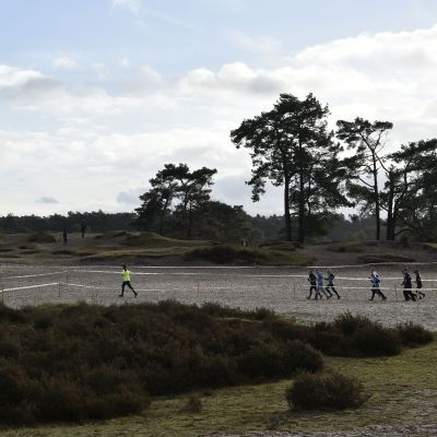 2017 Sylvestercross - Jaap van den Broek