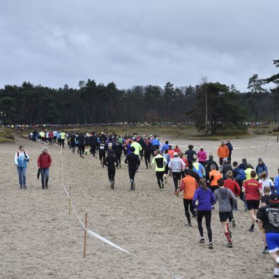 2017 Sylvestercross - Jaap van den Broek