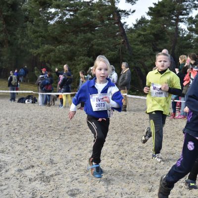 2017 Sylvestercross - Jaap van den Broek