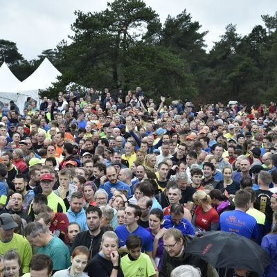 2017 Sylvestercross - Jaap van den Broek