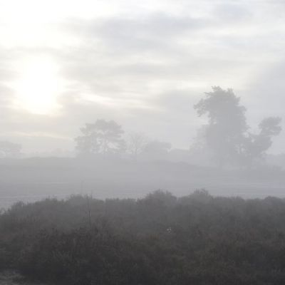 2019-12-31 09u - 10u