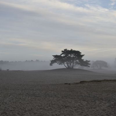 2019-12-31 09u - 10u